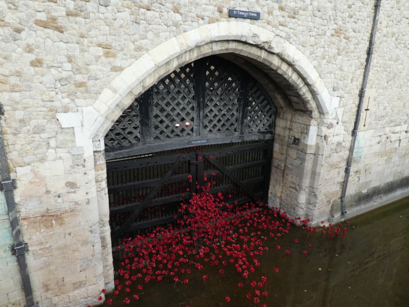 photo51.jpg
